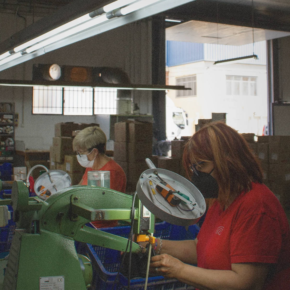 Flamingos' Life local production